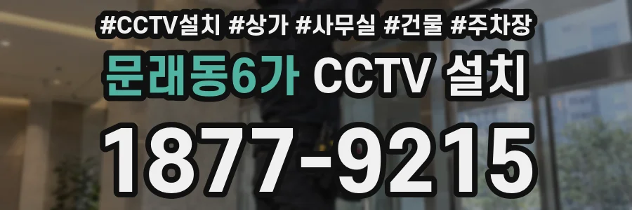 문래동6가 CCTV 설치