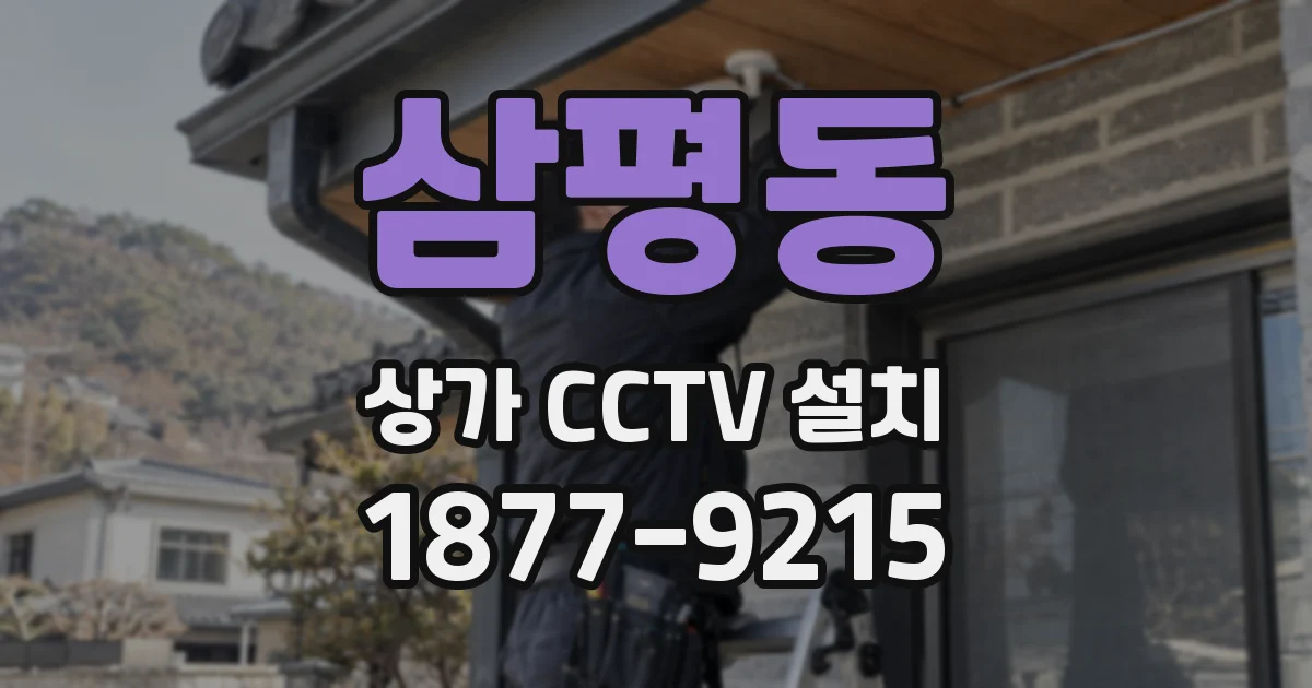 삼평동 상가 CCTV 설치