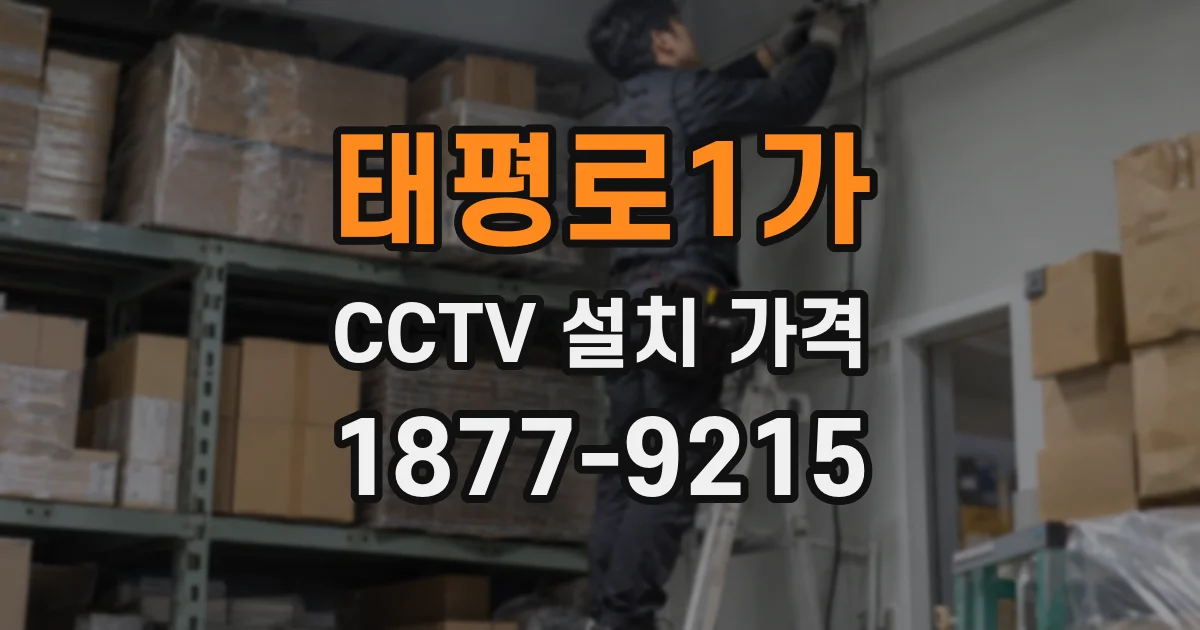 태평로1가 CCTV 설치 가격