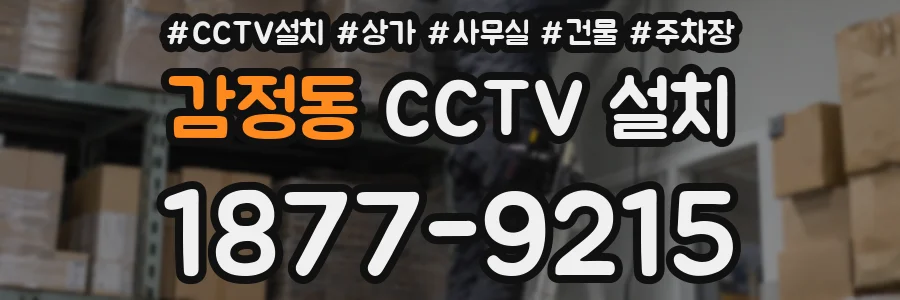 감정동 CCTV 설치