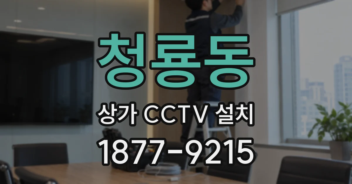 청룡동 상가 CCTV 설치