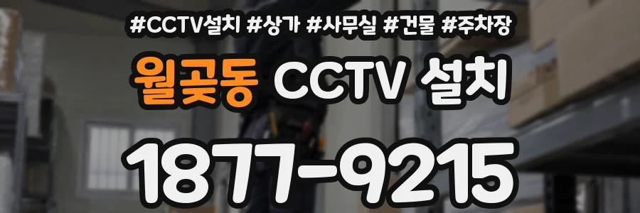 월곶동 CCTV 설치
