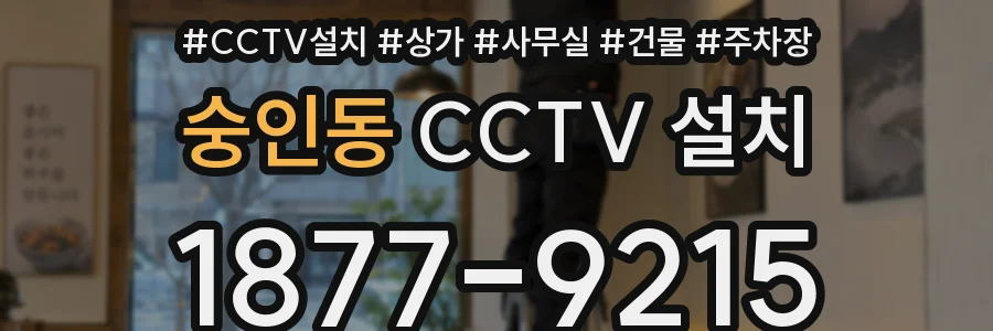 숭인동 CCTV 설치
