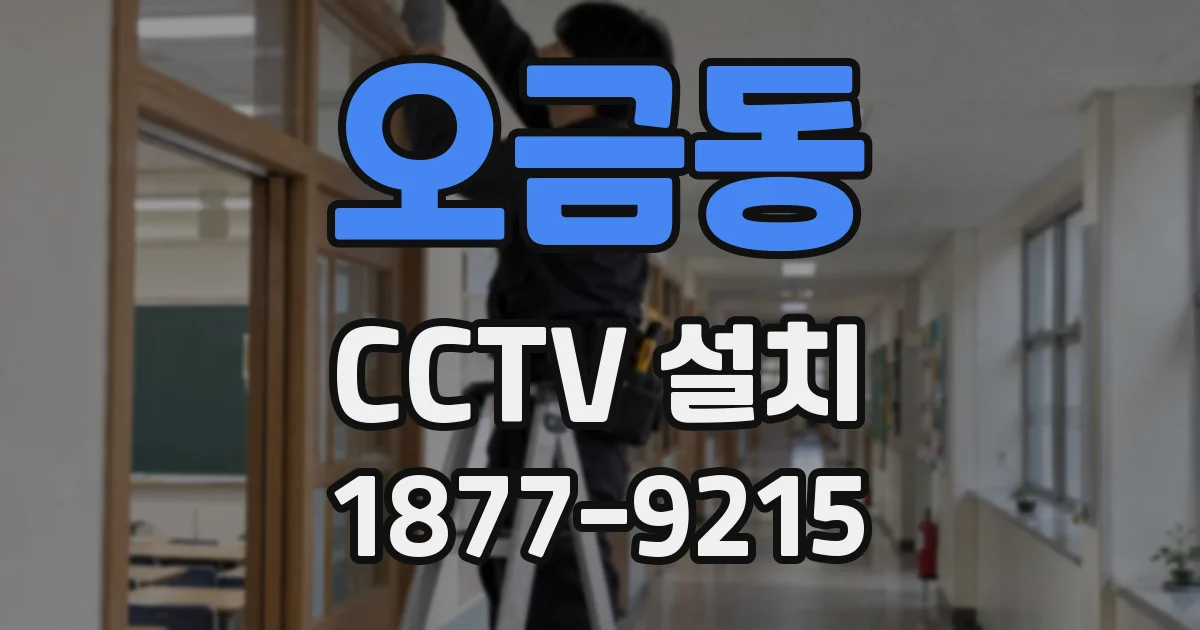 오금동 CCTV 설치