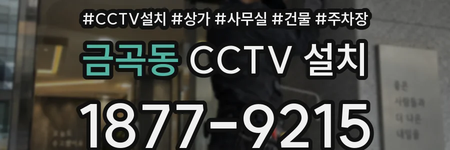 금곡동 CCTV 설치