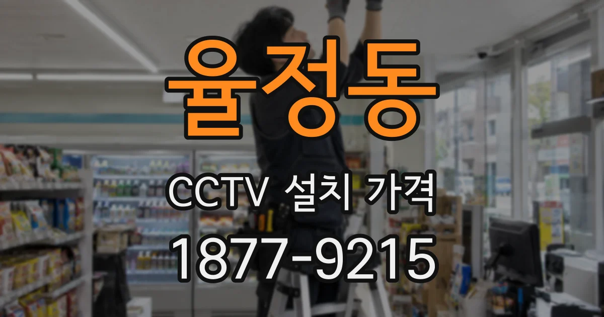 율정동 CCTV 설치 가격