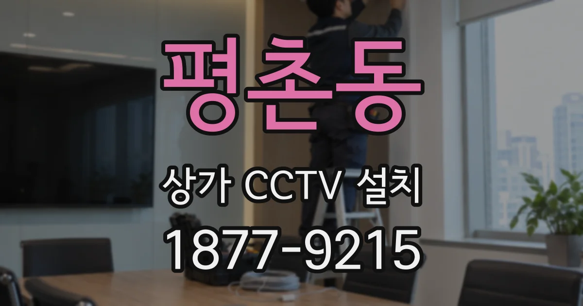 평촌동 상가 CCTV 설치
