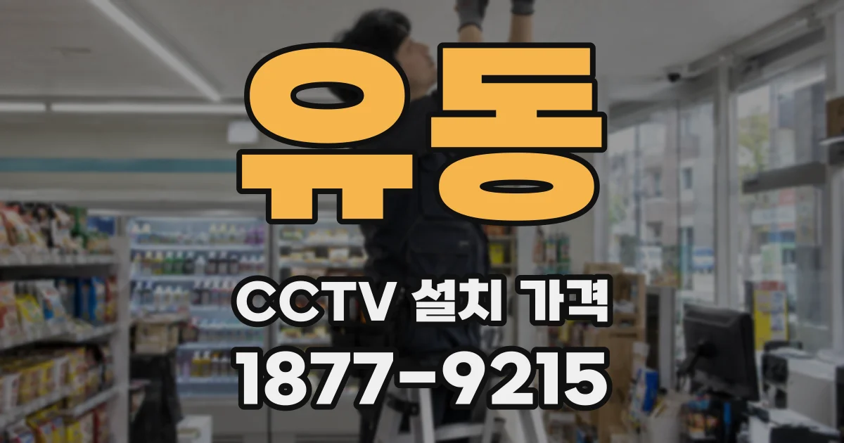 유동 CCTV 설치 가격