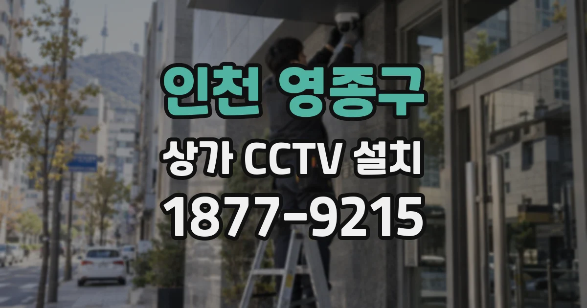 인천 영종구 상가 CCTV 설치