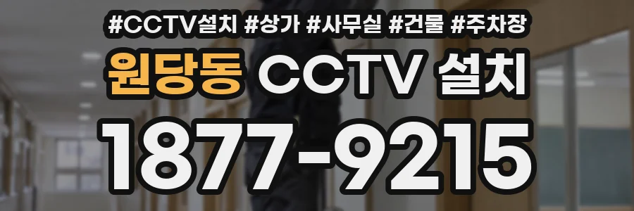 원당동 CCTV 설치