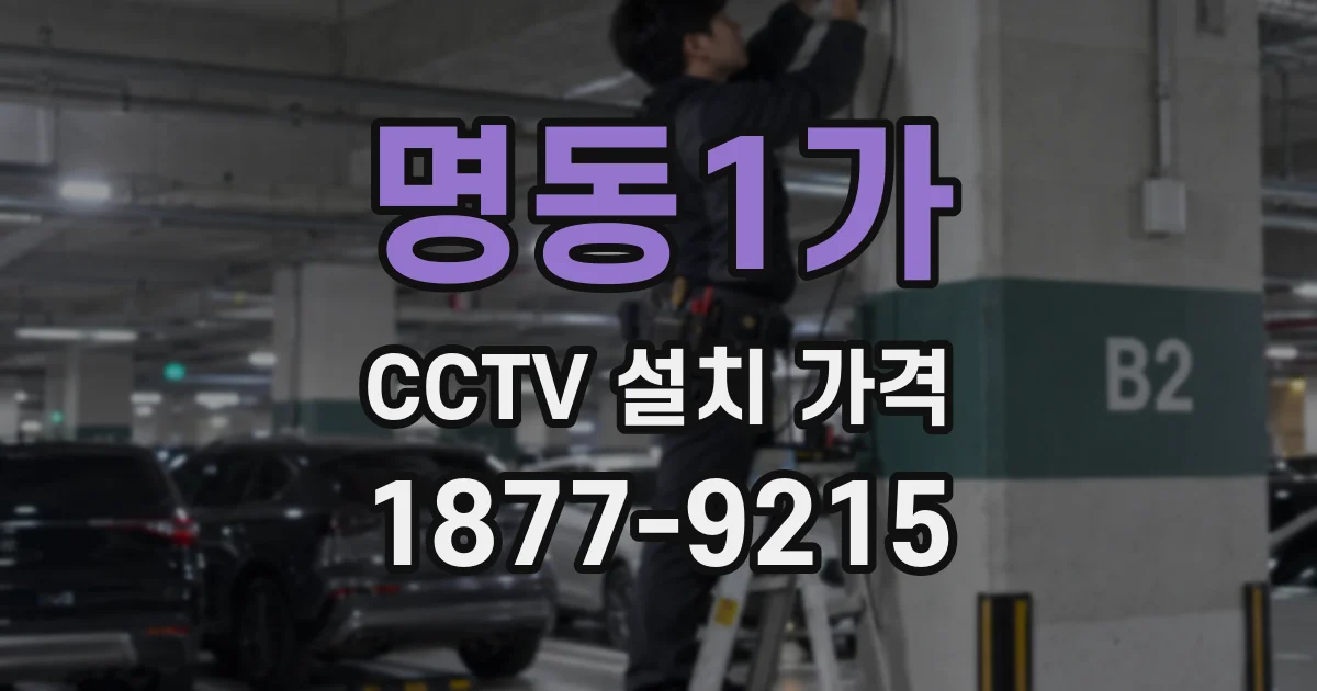 명동1가 CCTV 설치 가격
