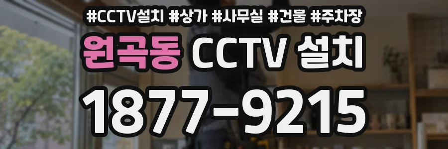 원곡동 CCTV 설치