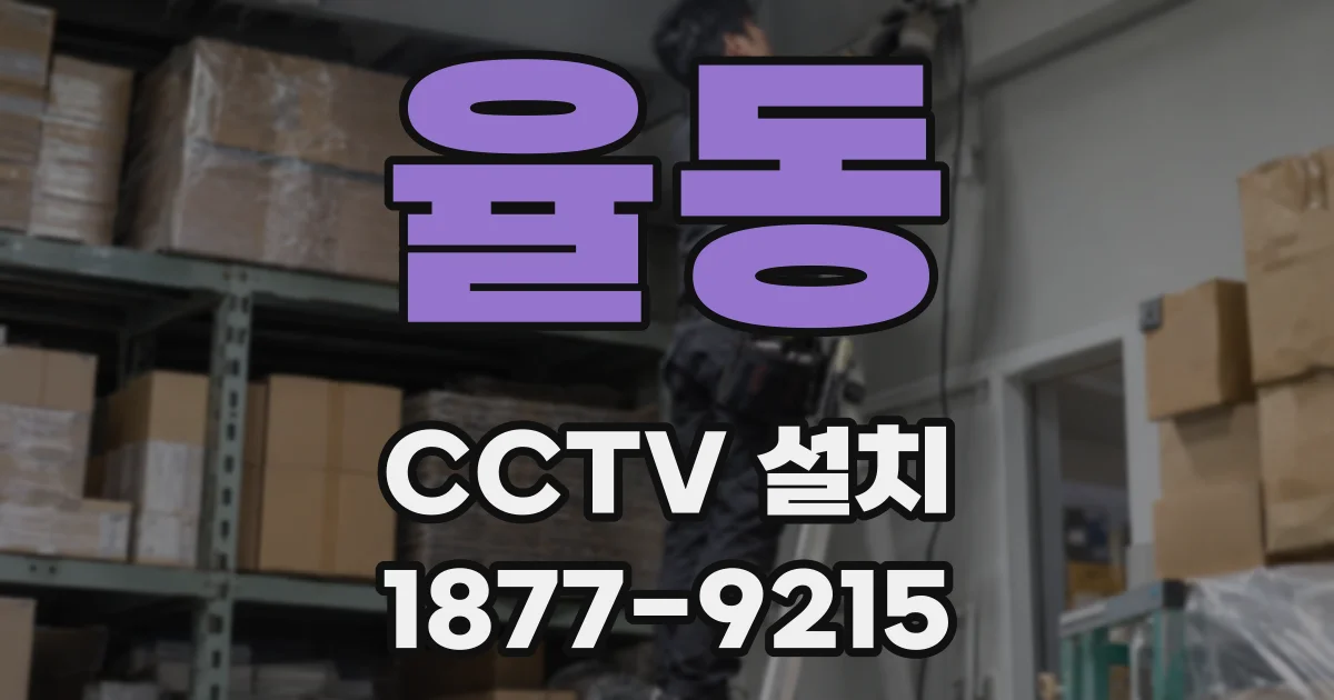 율동 CCTV 설치