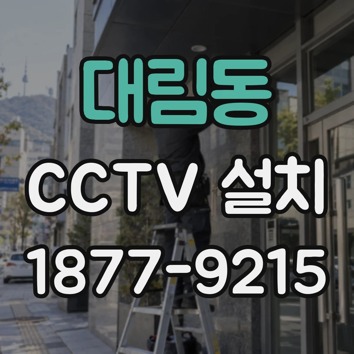 대림동 CCTV 설치