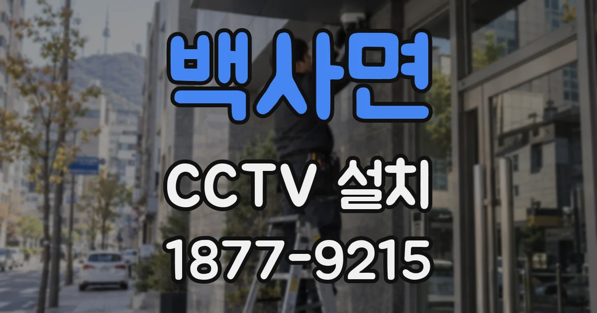 백사면 CCTV 설치