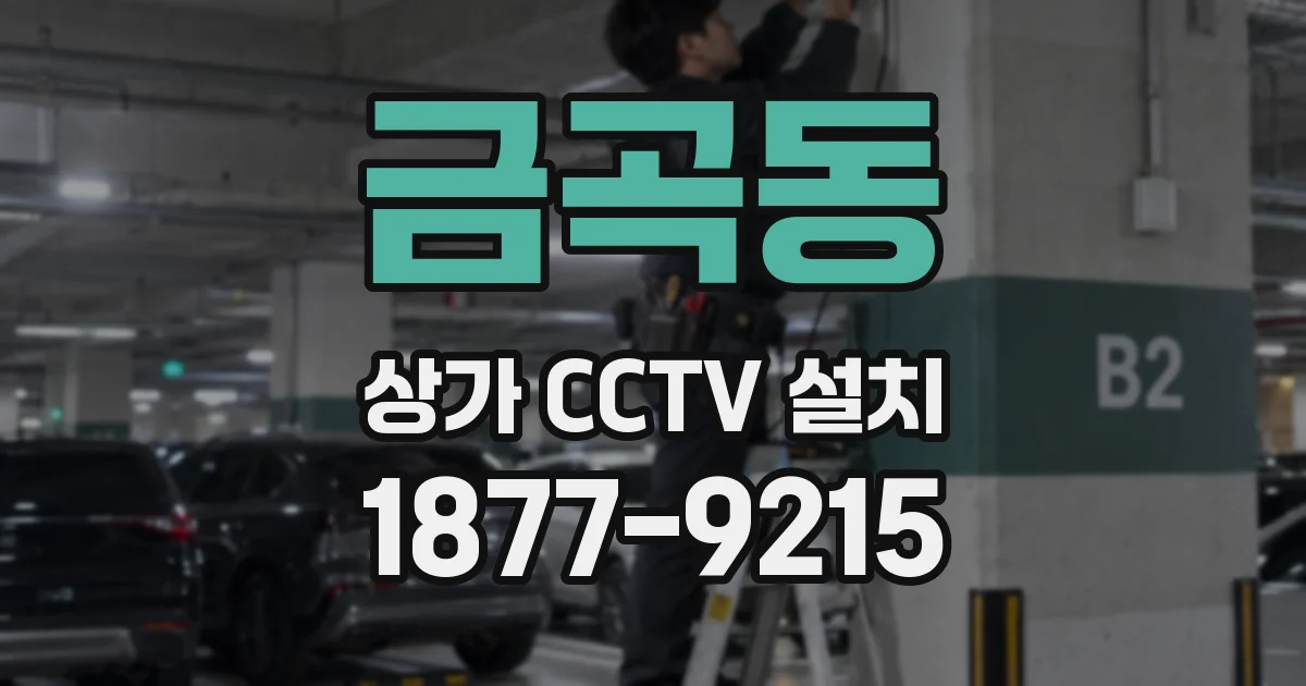 금곡동 상가 CCTV 설치