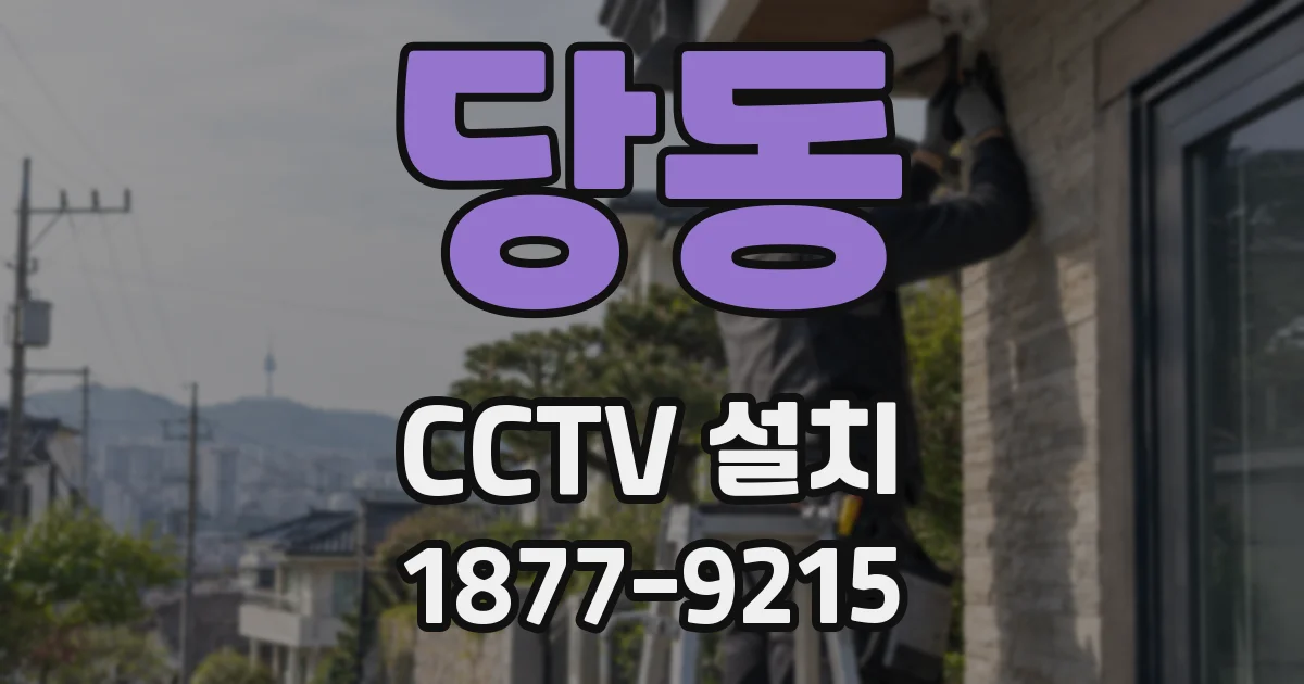 당동 CCTV 설치