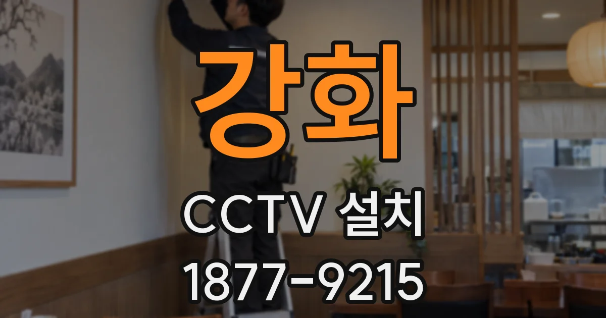 강화 CCTV 설치