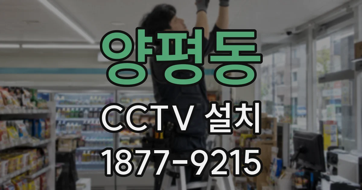 양평동 CCTV 설치