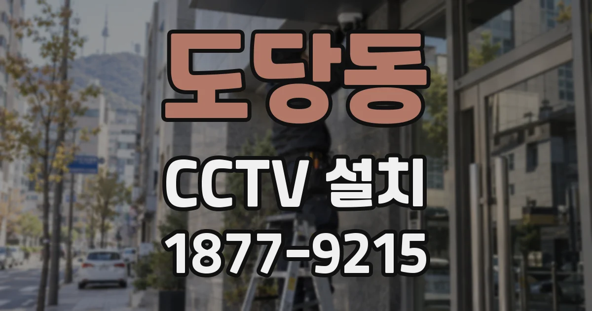 도당동 CCTV 설치