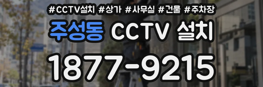 주성동 CCTV 설치