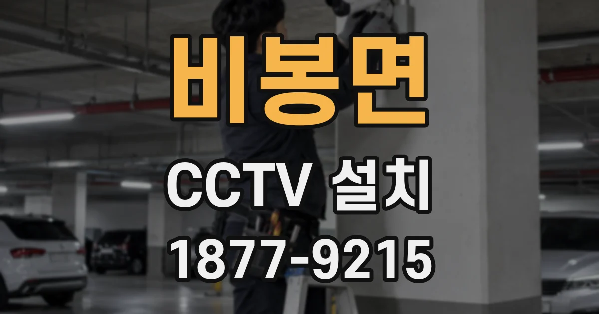 비봉면 CCTV 설치