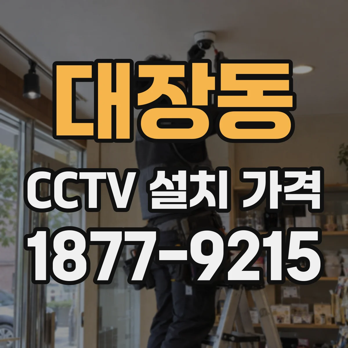 대장동 CCTV 설치 가격