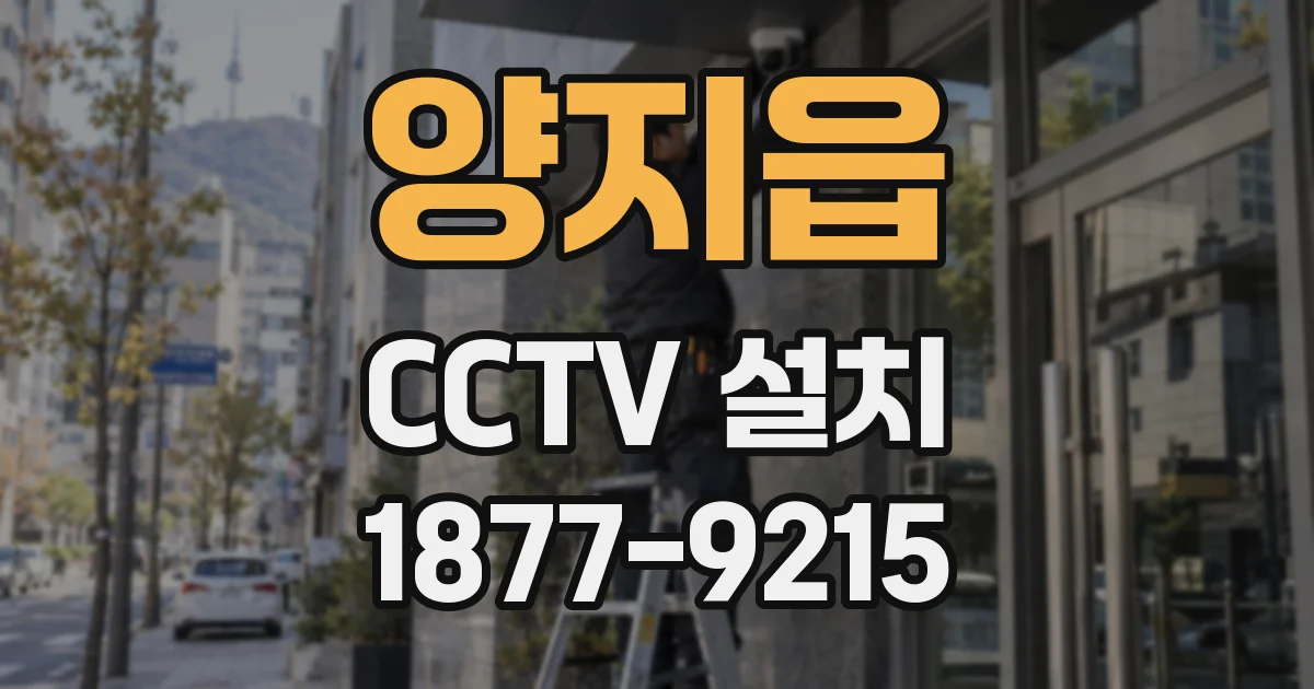양지읍 CCTV 설치