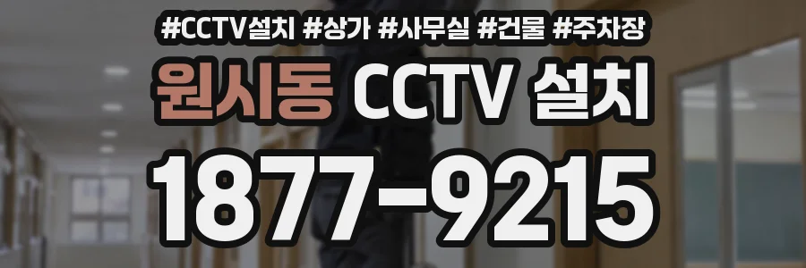 원시동 CCTV 설치