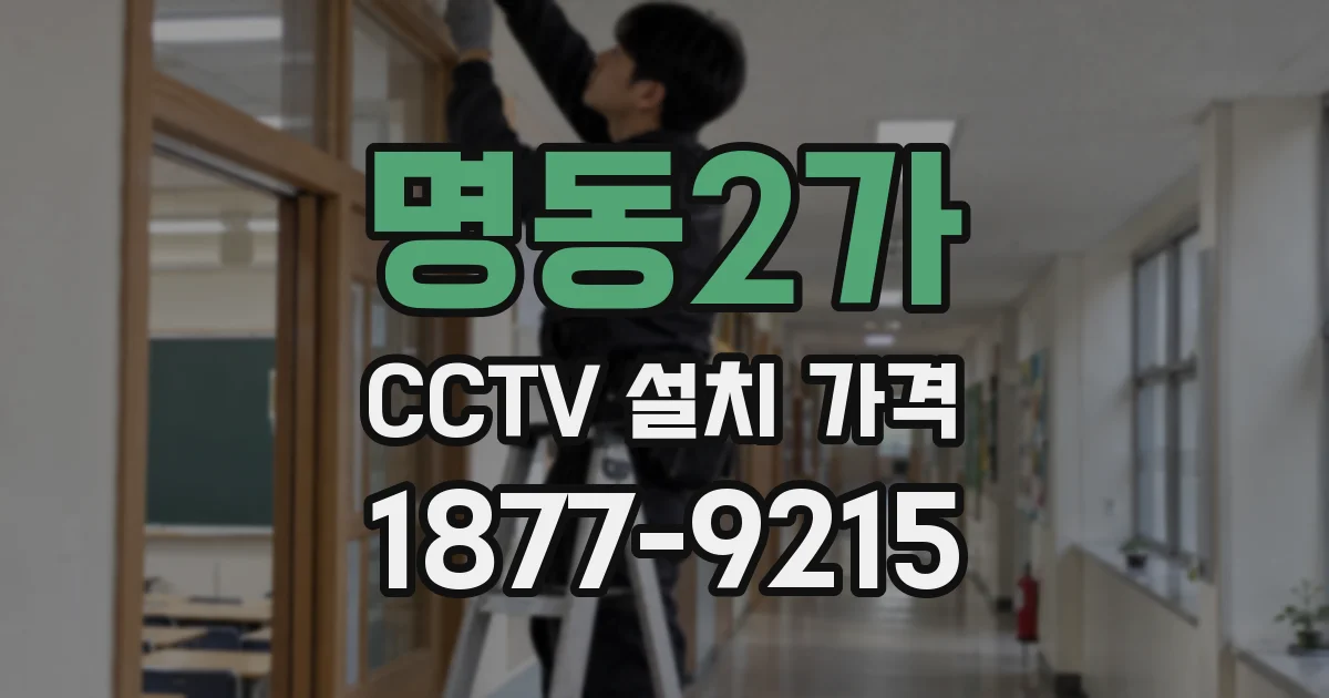 명동2가 CCTV 설치 가격