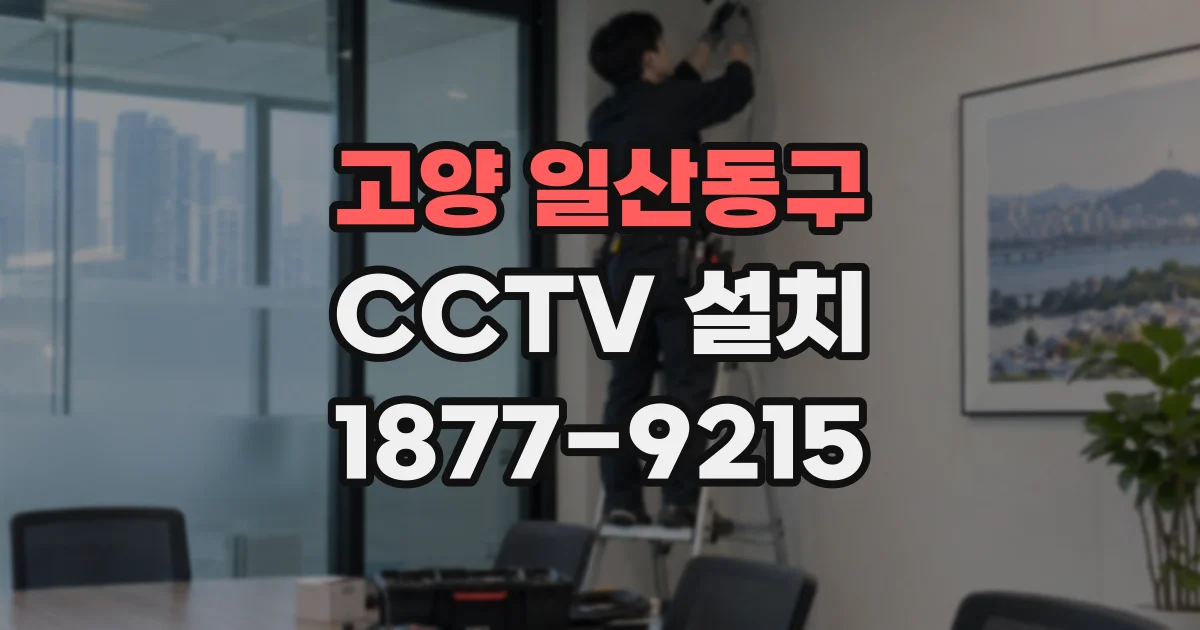 고양 일산동구 CCTV 설치