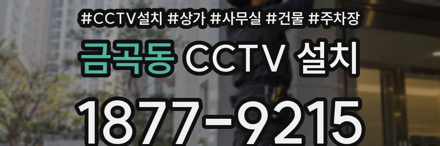 금곡동 CCTV 설치