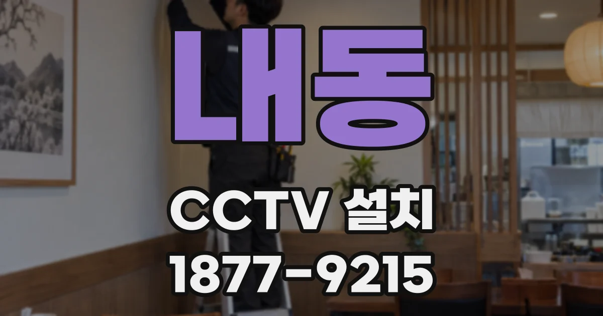 내동 CCTV 설치