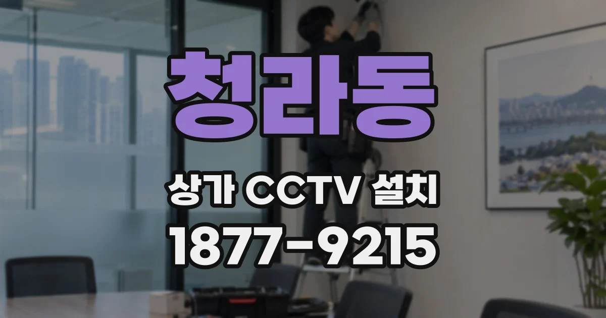 청라동 상가 CCTV 설치