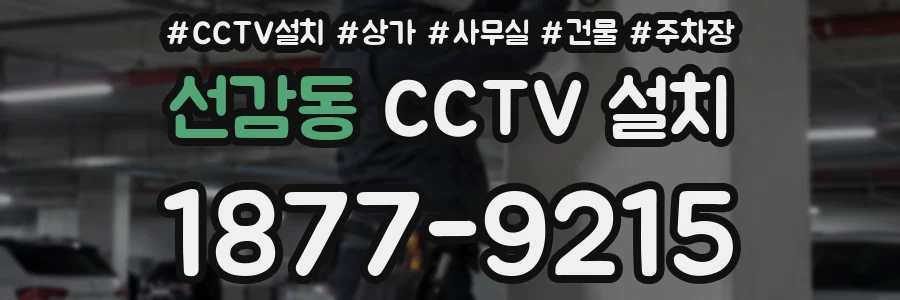 선감동 CCTV 설치