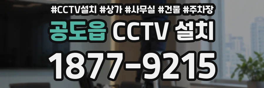 공도읍 CCTV 설치