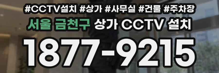 서울 금천구 상가 CCTV 설치