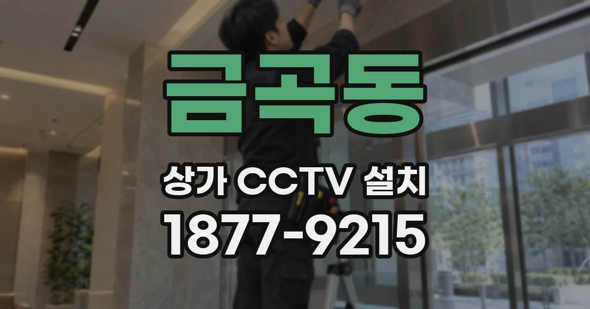 금곡동 상가 CCTV 설치