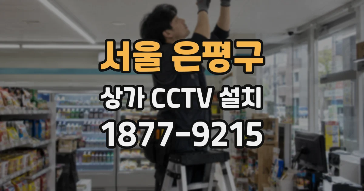 서울 은평구 상가 CCTV 설치