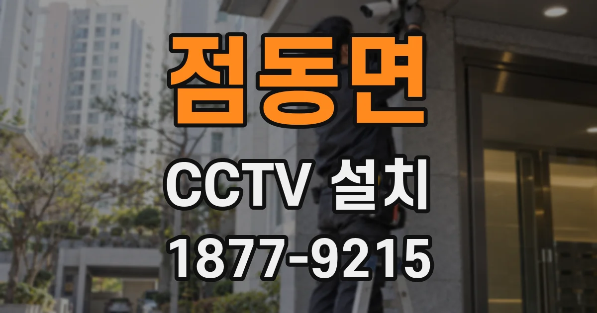 점동면 CCTV 설치