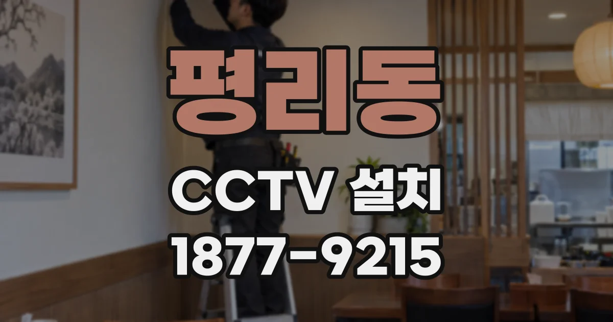 평리동 CCTV 설치