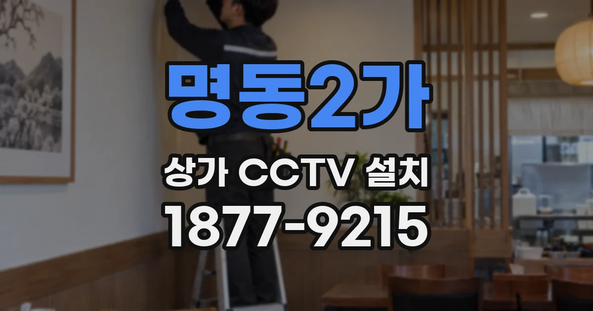명동2가 상가 CCTV 설치