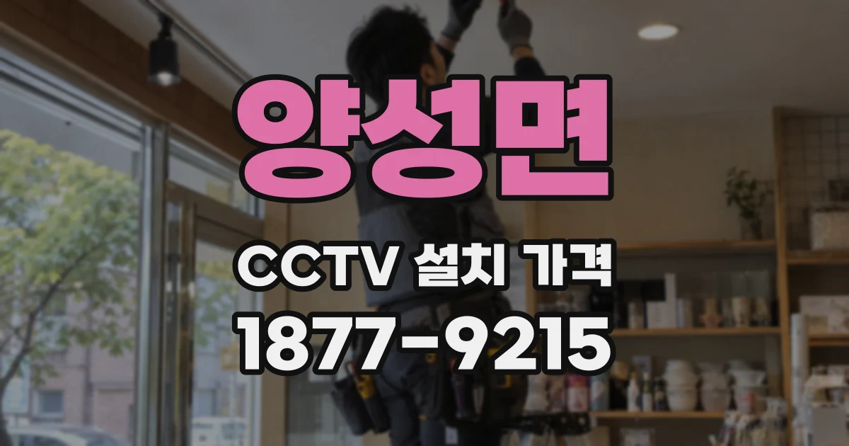 양성면 CCTV 설치 가격