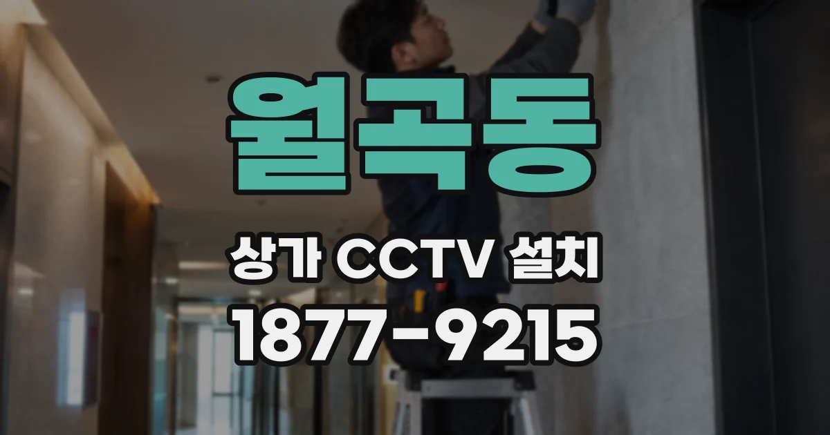 월곡동 상가 CCTV 설치