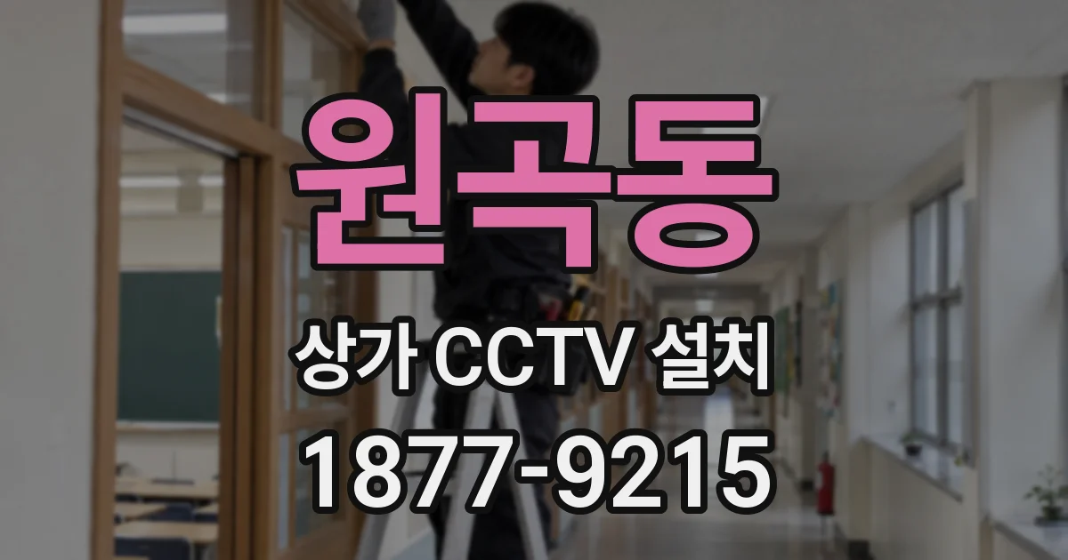원곡동 상가 CCTV 설치