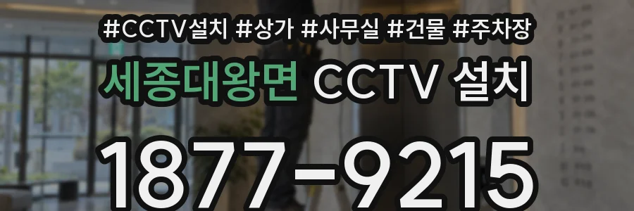 세종대왕면 CCTV 설치