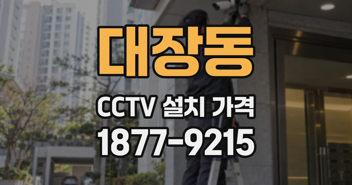 대장동 CCTV 설치 가격