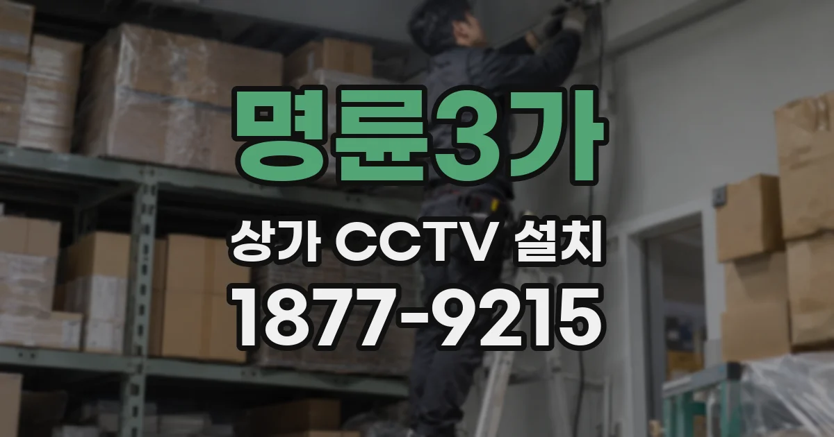 명륜3가 상가 CCTV 설치