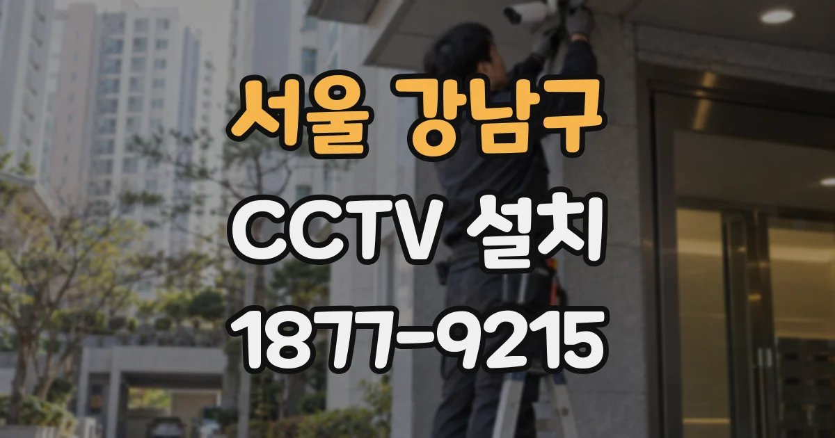 서울 강남구 CCTV 설치