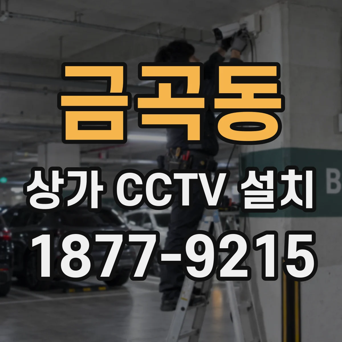 금곡동 상가 CCTV 설치